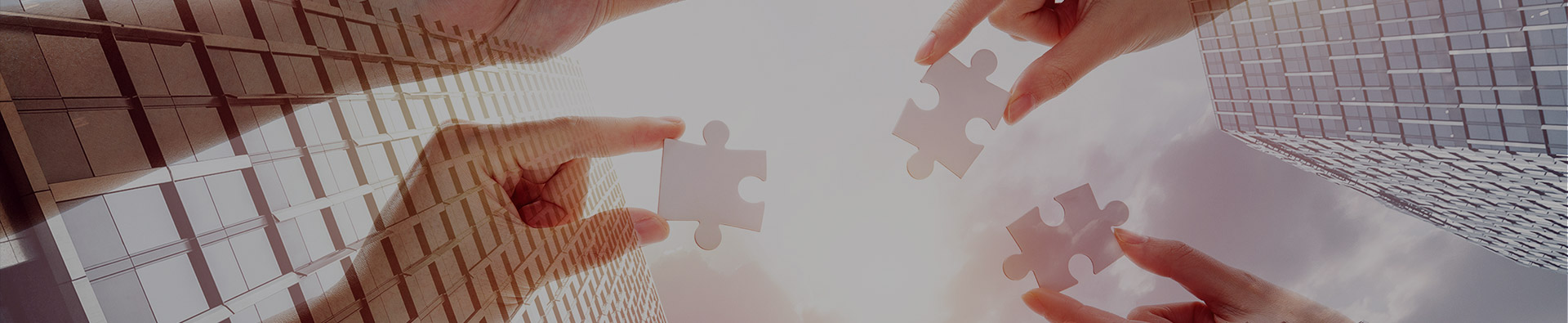 今年会（天津）岩矿检测有限公司